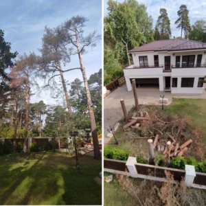 Tehtud töö 1